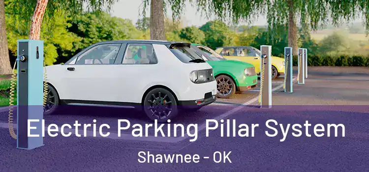 Electric Parking Pillar System Shawnee - OK